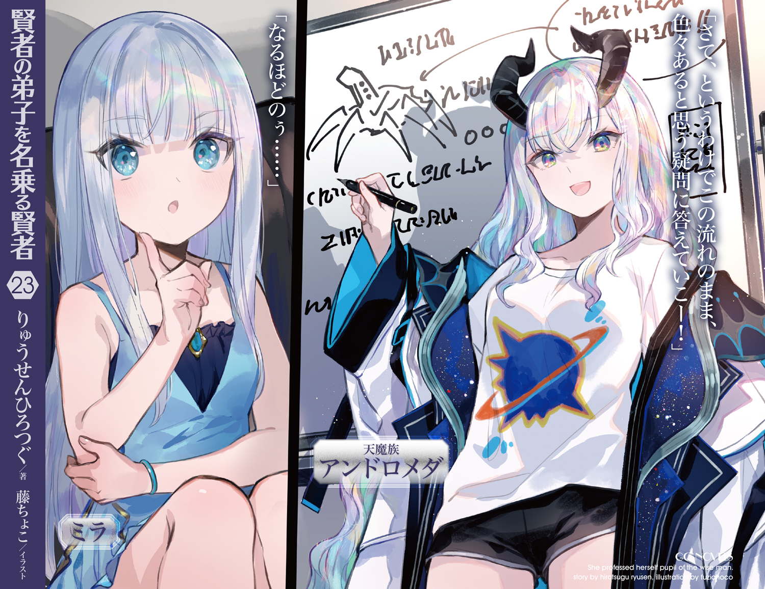 賢者の弟子を名乗る賢者 23